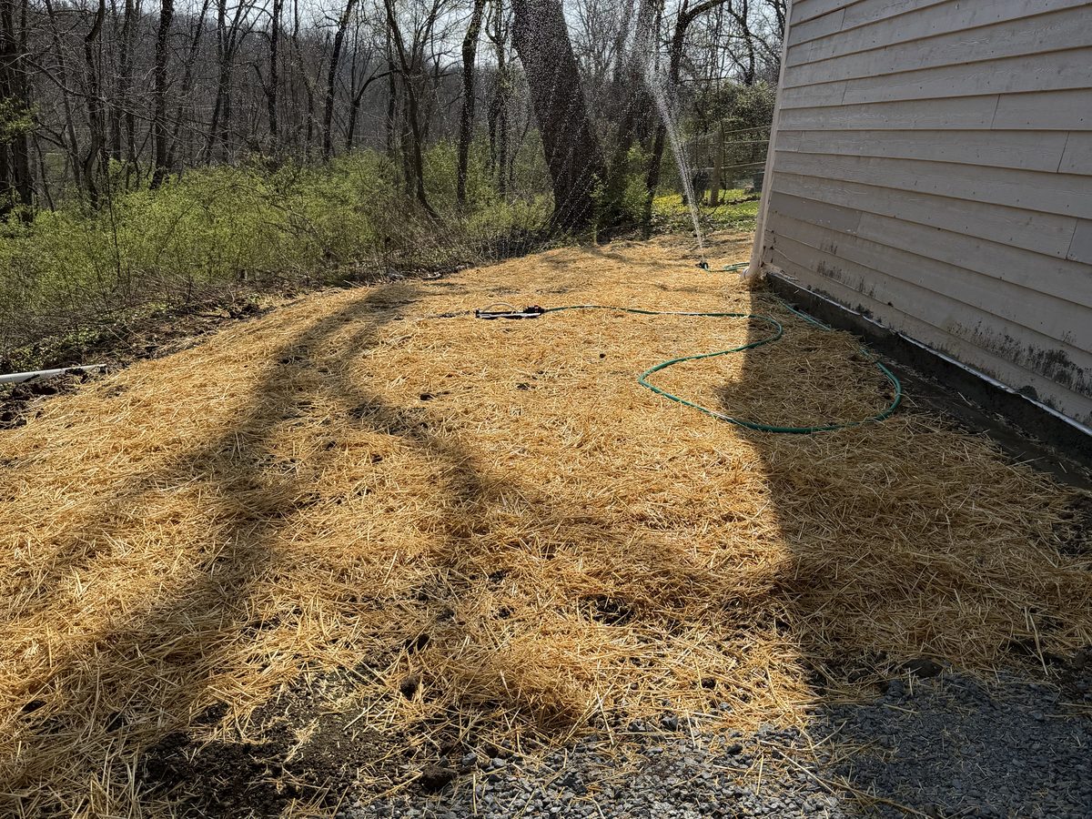 French drain and yard grading project that solved standing water in a west side yard