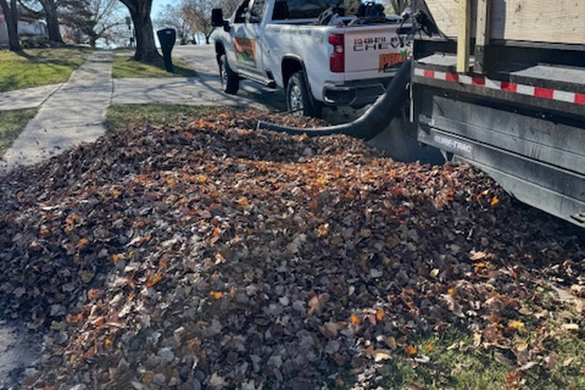 Fall leaf cleanup at a Cincinnati west side home