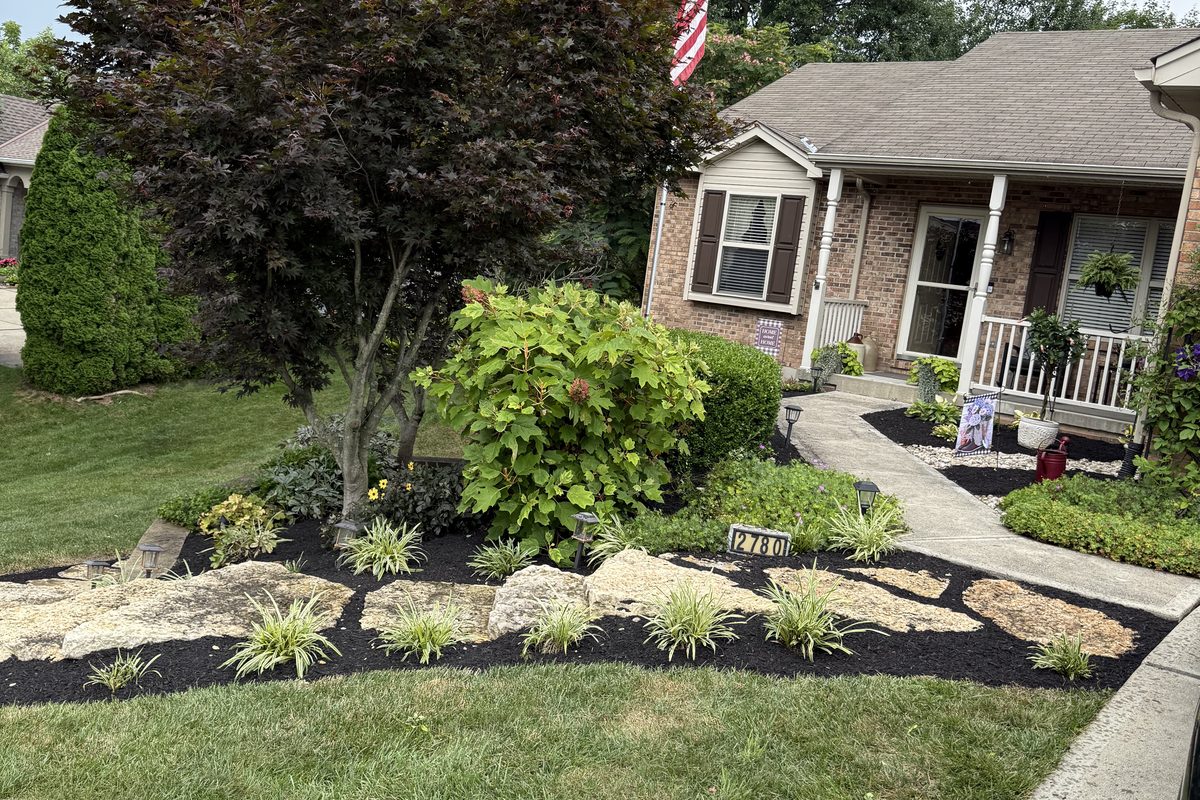 Full front yard landscape renovation on a west side Cincinnati home