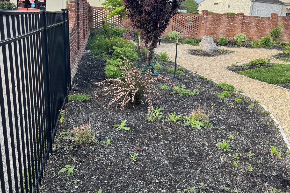 Landscaping company in Cincinnati planting a west side front bed