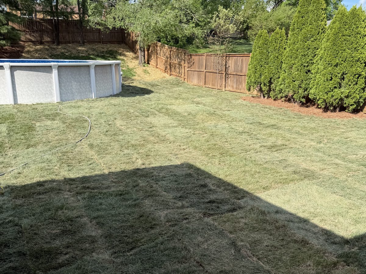 Leveled backyard with new sod on a Cincinnati west side lot