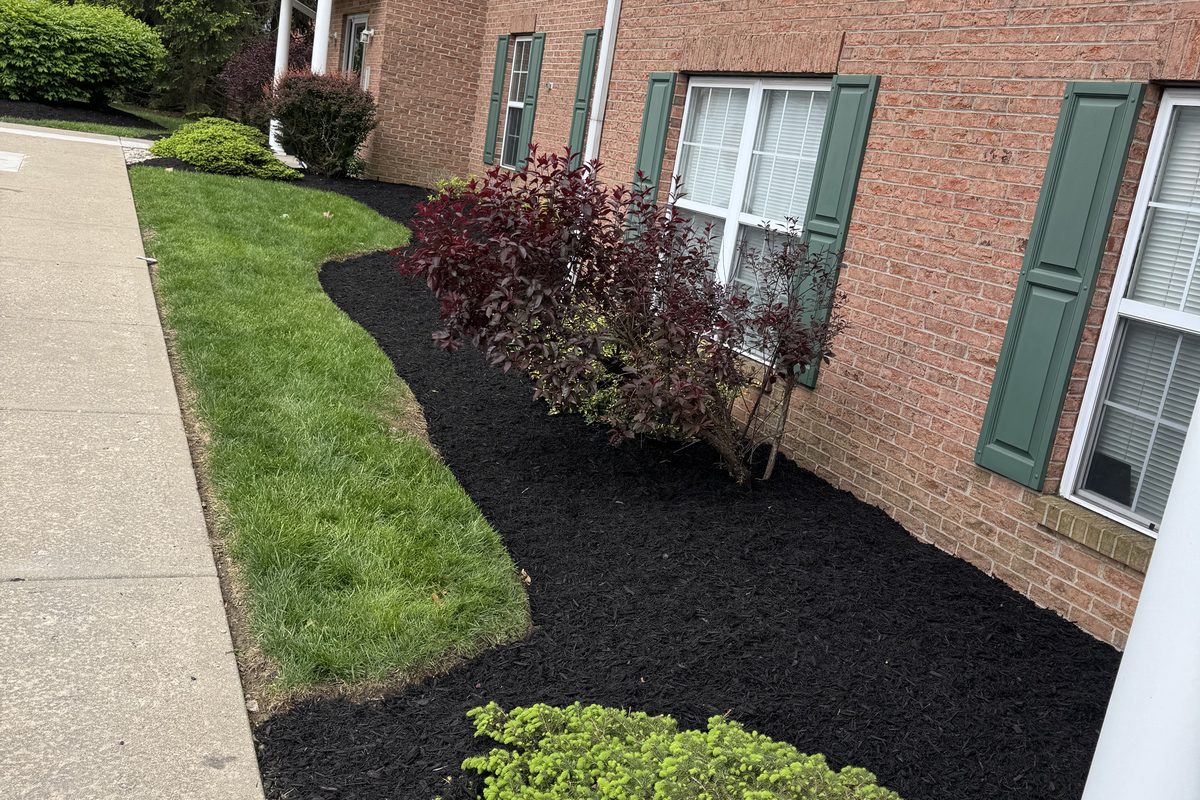 Fresh mulch and decorative rock in a west side Cincinnati landscape bed