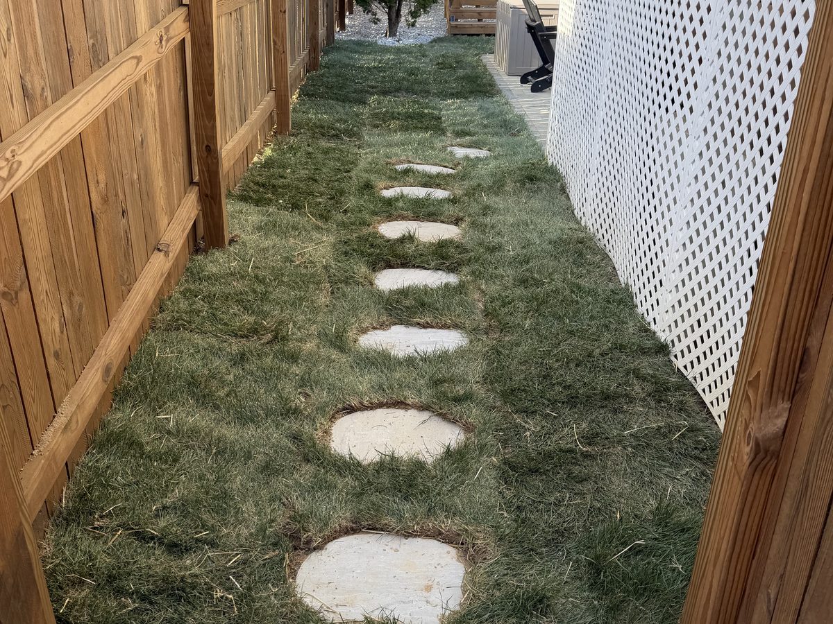 Paver walkway and regraded yard on a Cincinnati hillside lot