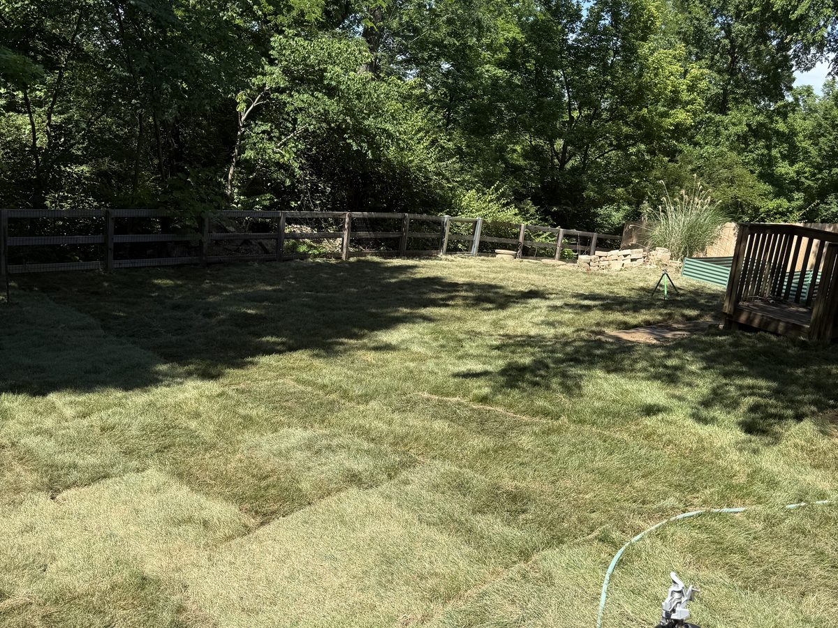 Established lawn after sod was laid on a Miami Heights property