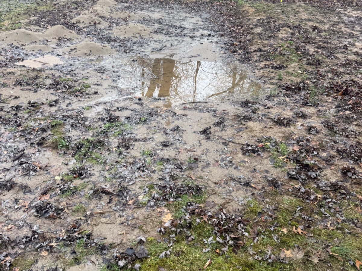 Standing water pooling in a west side Cincinnati backyard before drainage work