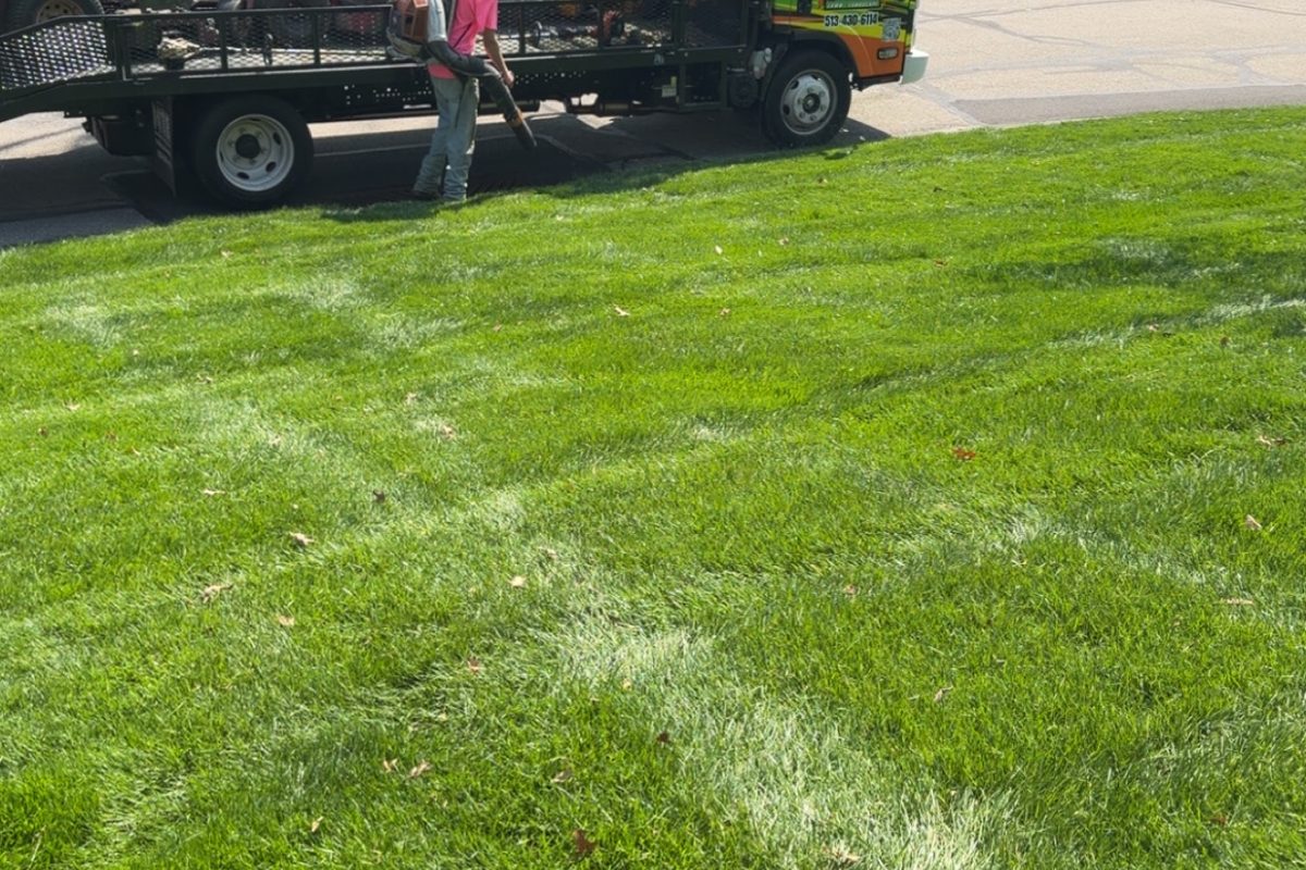 Striped lawn after weekly mowing on a Cincinnati west side property